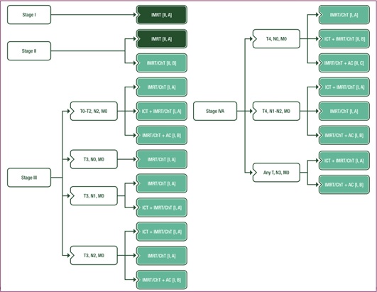 Algorithm Recommendation Governance Nasopharyngeal Carcinoma .