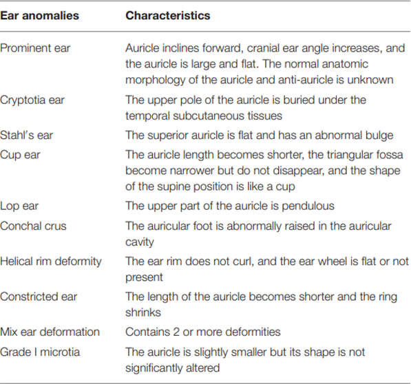 Table 2. Classification Anomaly Ears.