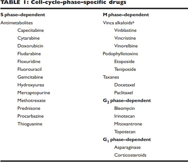 Type drug chemotherapy Which specific cell cycle