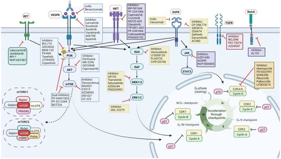 Mechanism Track Therapy Target