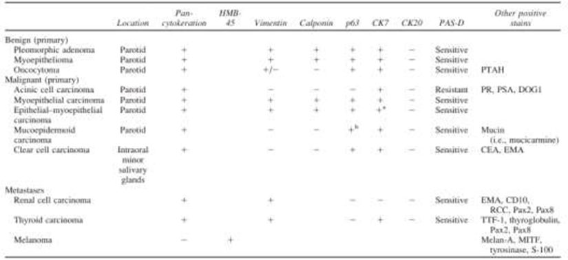 Table 2. Immunohistochemistry And coloring special from lesi clear cell gland saliva. 6