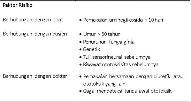 Table 3. Factor Risk Ototoxicity Aminoglycosides