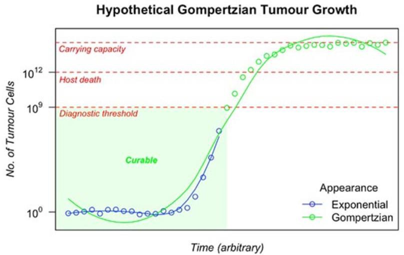 Curve Sigmoid Growth Gompertzian