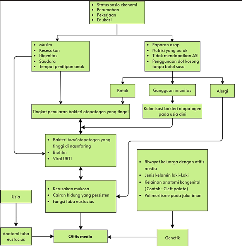 Figure 5. Causal and Factor Flow OMA risk . 11
