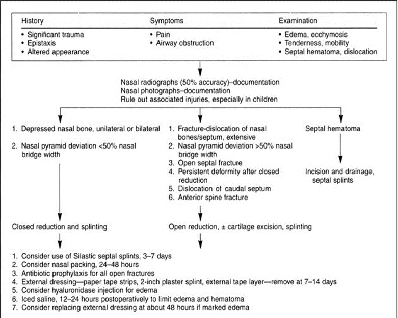 Handling trauma nose