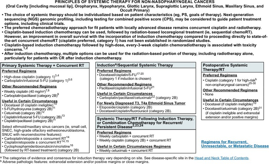 Principles of Systematic Therapy for Non-Nasopharyngeal Cancer
