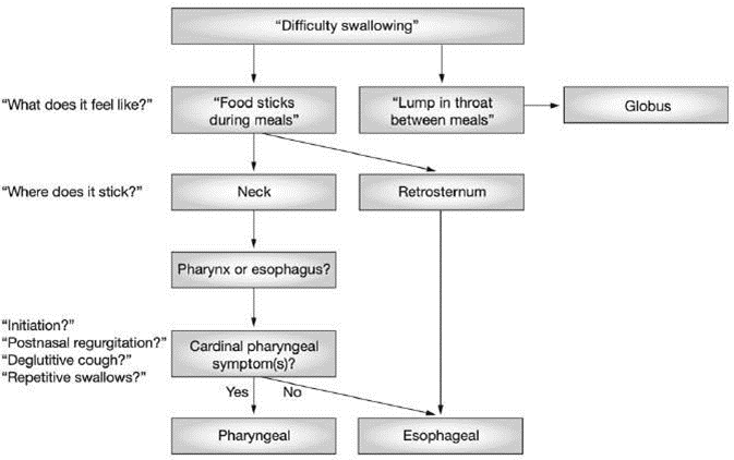 Picture 2.9 Channel diagnosis dysphagia 