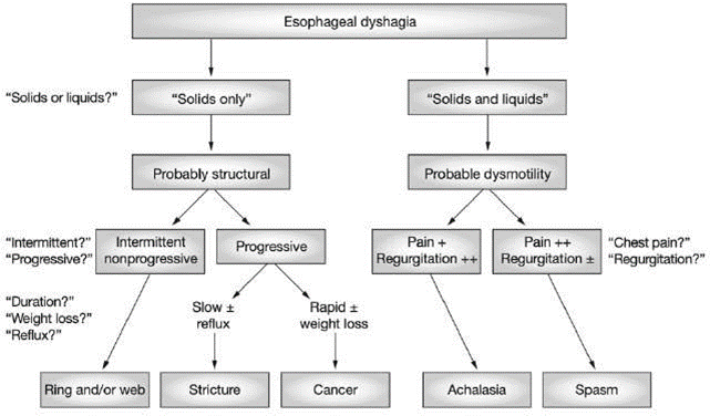 Picture 2.10 Channel diagnosis on dysphagia esophageal 